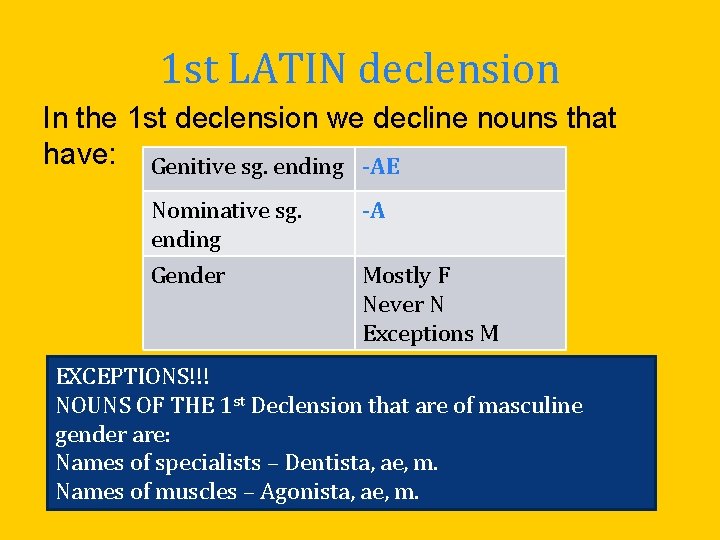 1 st LATIN declension In the 1 st declension we decline nouns that have: 1 st LATIN declension In the 1 st declension we decline nouns that have: