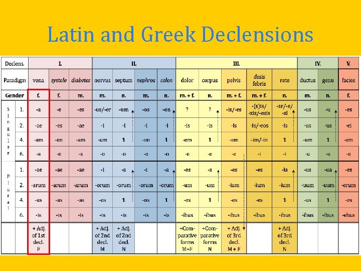 Latin and Greek Declensions Latin and Greek Declensions