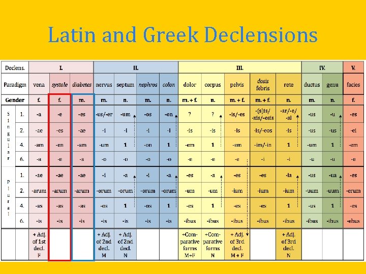 Latin and Greek Declensions Latin and Greek Declensions