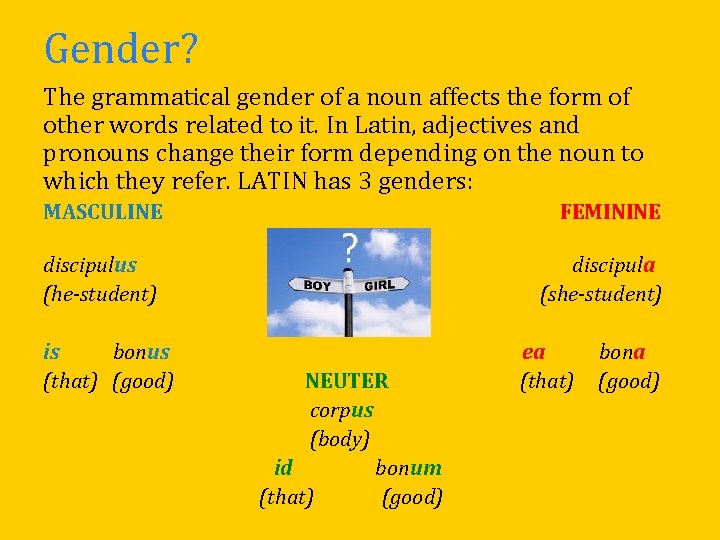 Gender? The grammatical gender of a noun affects the form of other words related Gender? The grammatical gender of a noun affects the form of other words related