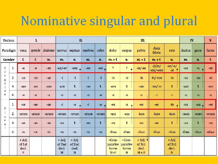 Nominative singular and plural Nominative singular and plural
