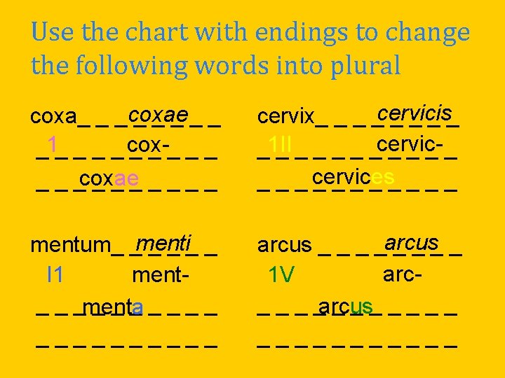 Use the chart with endings to change the following words into plural coxa_ _ Use the chart with endings to change the following words into plural coxa_ _