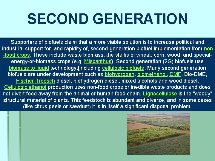 SECOND GENERATION Supporters of biofuels claim that a more viable solution is to increase