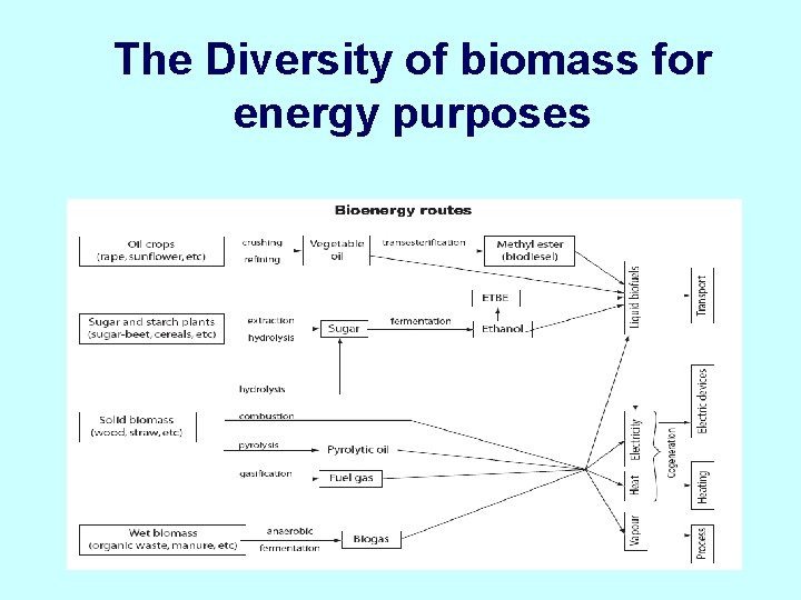 The Diversity of biomass for energy purposes 