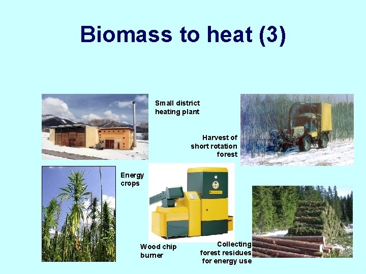 Biomass to heat (3) Small district heating plant Harvest of short rotation forest Energy