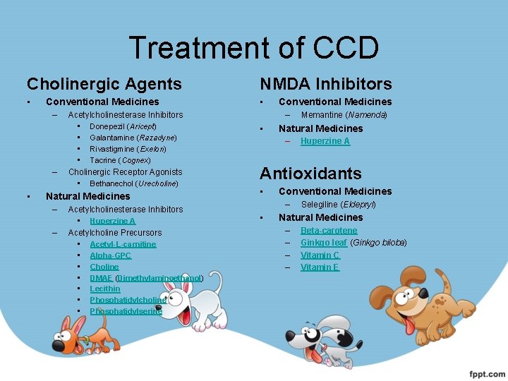 Treatment of CCD Cholinergic Agents NMDA Inhibitors • • Conventional Medicines – – •
