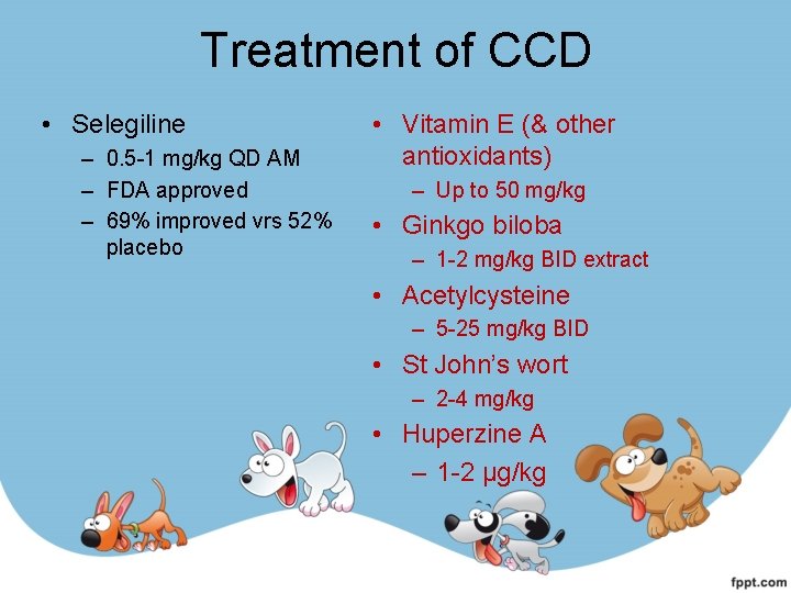 Treatment of CCD • Selegiline – 0. 5 -1 mg/kg QD AM – FDA