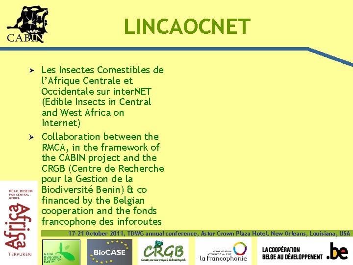 LINCAOCNET Ø Ø Les Insectes Comestibles de l’Afrique Centrale et Occidentale sur inter. NET