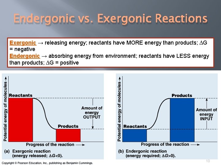 Endergonic vs. Exergonic Reactions Exergonic → releasing energy; reactants have MORE energy than products;