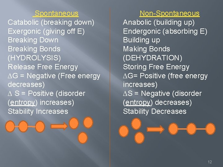 Spontaneous Catabolic (breaking down) Exergonic (giving off E) Breaking Down Breaking Bonds (HYDROLYSIS) Release
