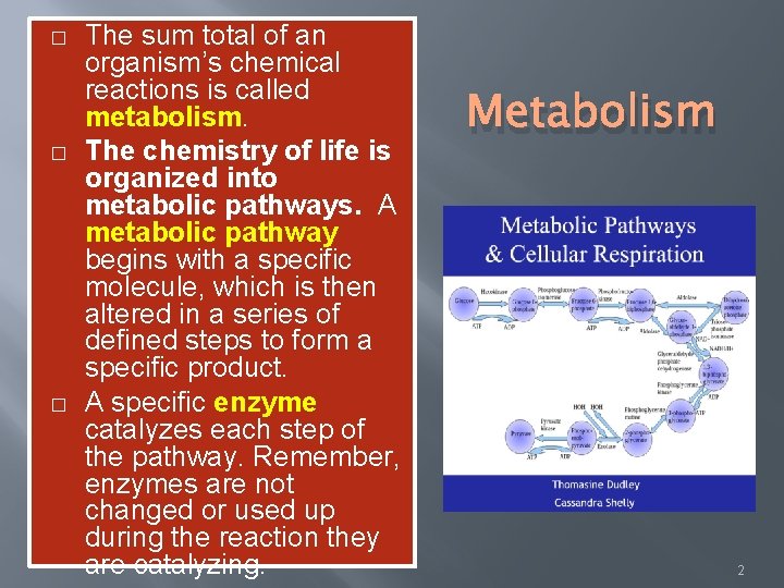 � � � The sum total of an organism’s chemical reactions is called metabolism.