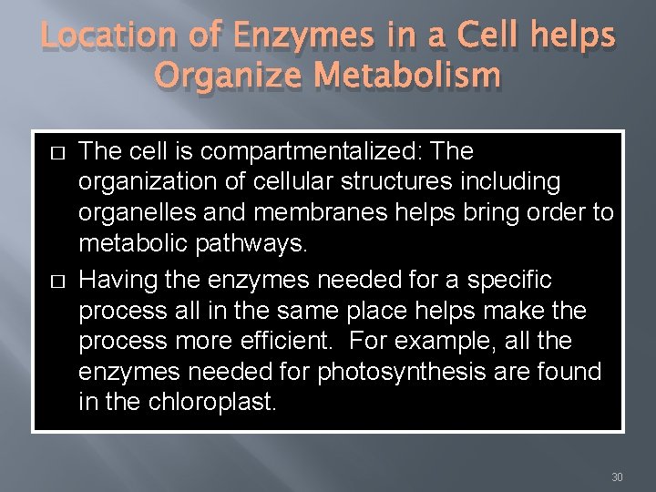 Location of Enzymes in a Cell helps Organize Metabolism � � The cell is