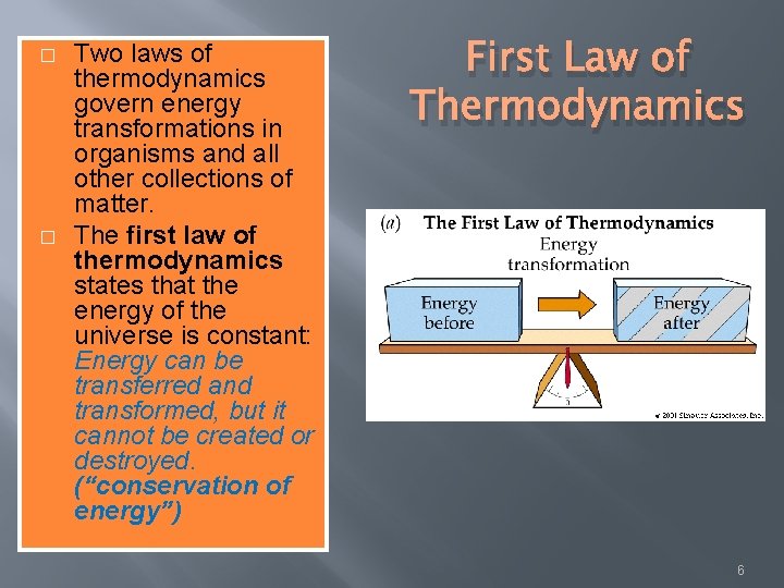 � � Two laws of thermodynamics govern energy transformations in organisms and all other