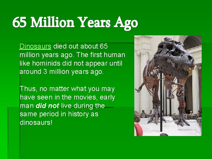 65 Million Years Ago Dinosaurs died out about 65 million years ago. The first