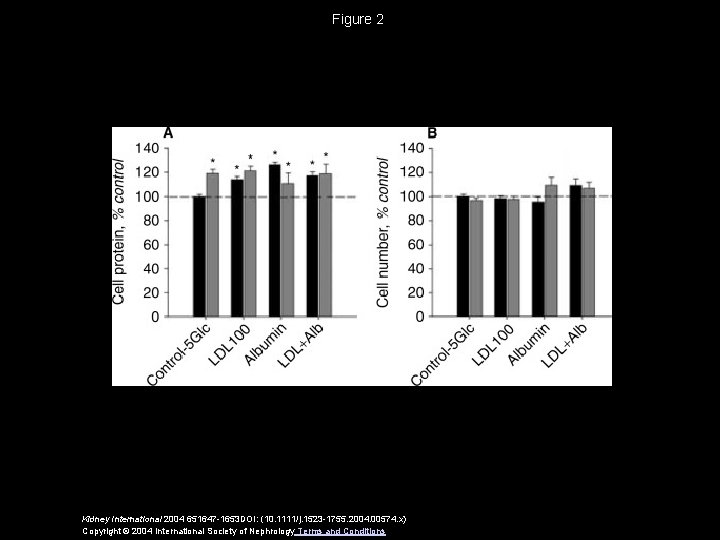 Figure 2 Kidney International 2004 651647 -1653 DOI: (10. 1111/j. 1523 -1755. 2004. 00574.