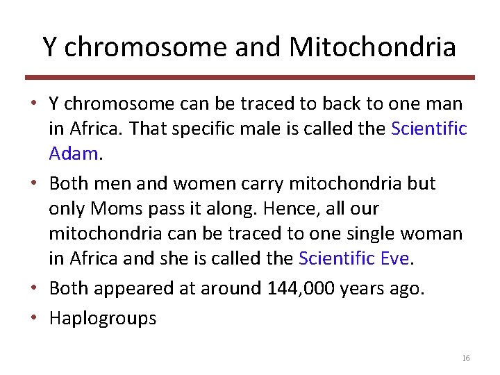 Y chromosome and Mitochondria • Y chromosome can be traced to back to one