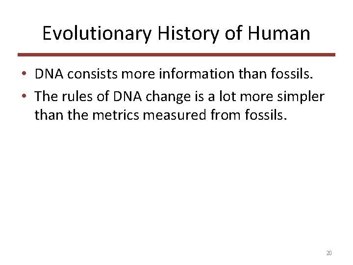 Evolutionary History of Human • DNA consists more information than fossils. • The rules