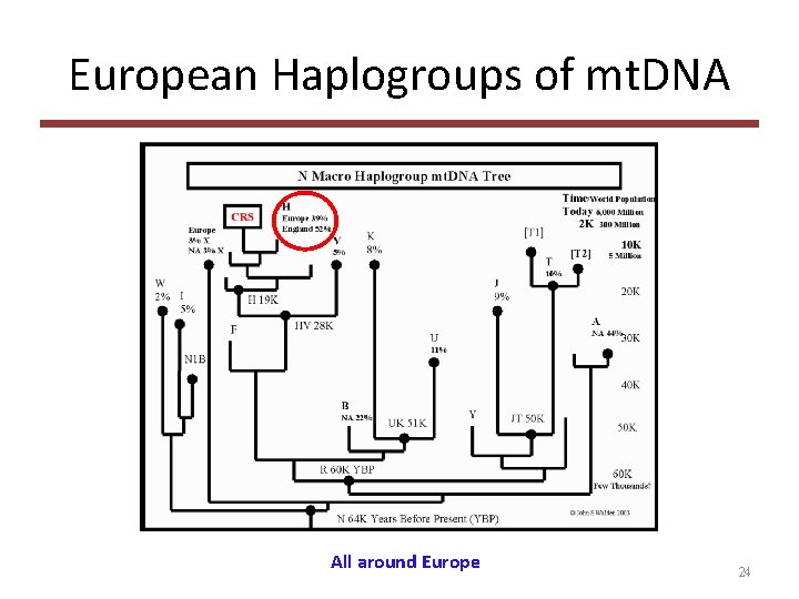 European Haplogroups of mt. DNA All around Europe 24 
