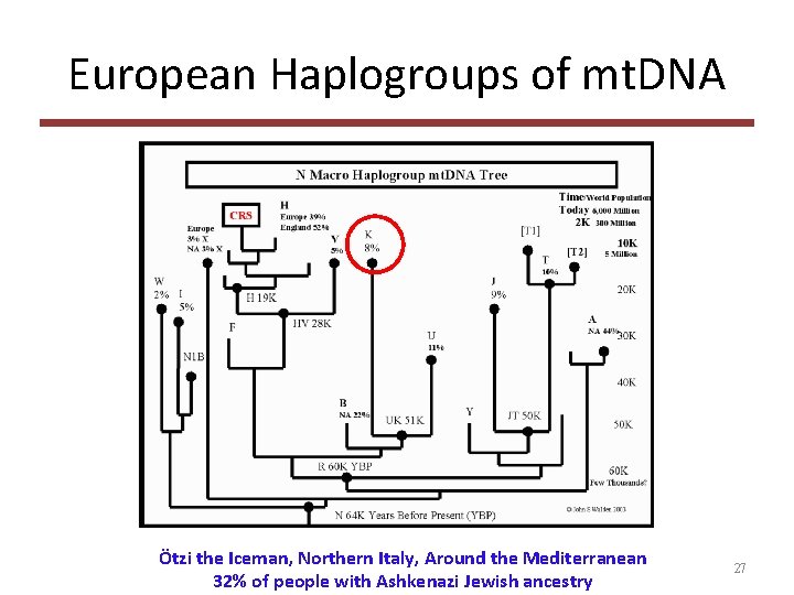 European Haplogroups of mt. DNA Ötzi the Iceman, Northern Italy, Around the Mediterranean 32%