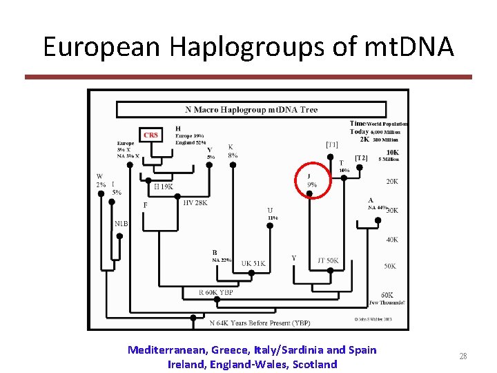 European Haplogroups of mt. DNA Mediterranean, Greece, Italy/Sardinia and Spain Ireland, England-Wales, Scotland 28