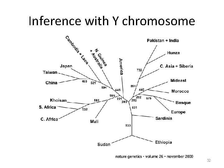 Inference with Y chromosome 32 