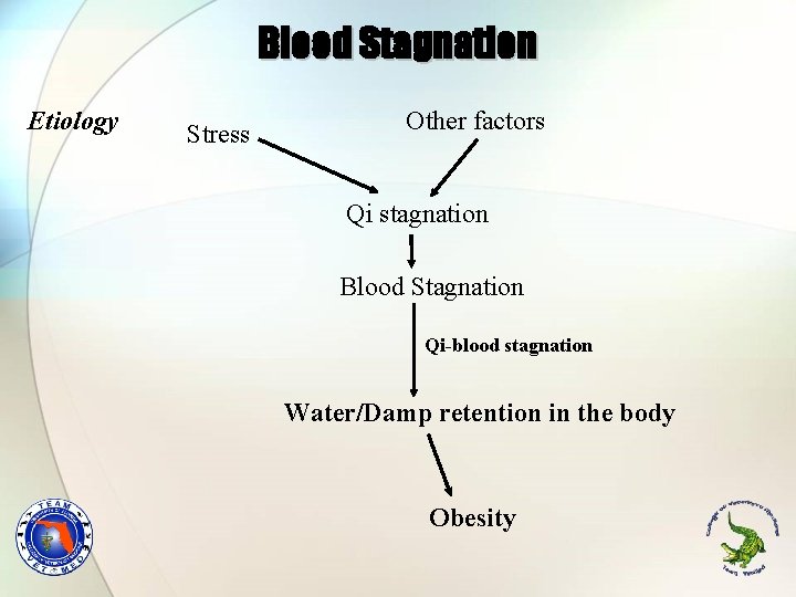 Blood Stagnation Etiology Stress Other factors Qi stagnation Blood Stagnation Qi-blood stagnation Water/Damp retention