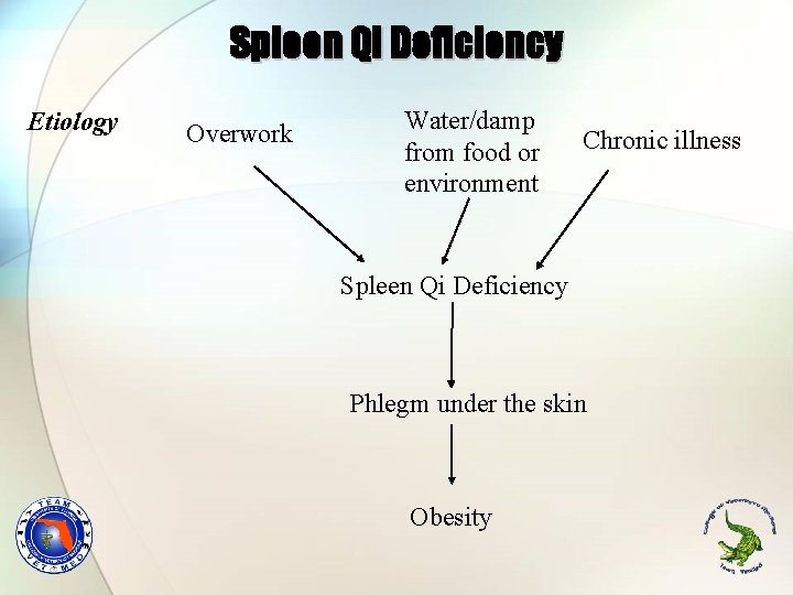Spleen Qi Deficiency Etiology Overwork Water/damp from food or environment Chronic illness Spleen Qi