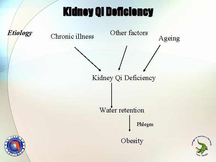 Kidney Qi Deficiency Etiology Chronic illness Other factors Kidney Qi Deficiency Water retention Phlegm