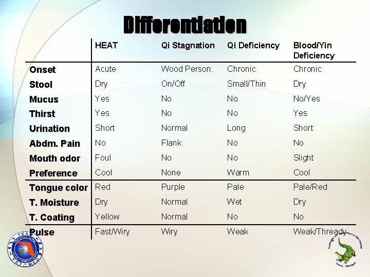 Differentiation HEAT Qi Stagnation Qi Deficiency Blood/Yin Deficiency Onset Acute Wood Person. Chronic Stool