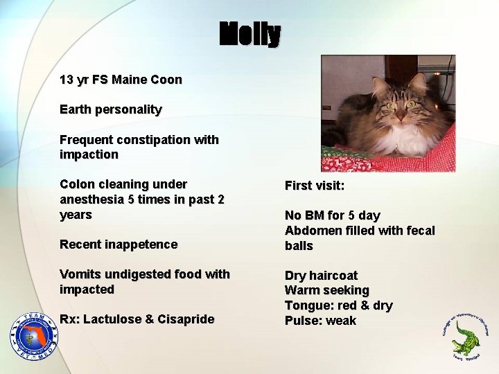 Molly 13 yr FS Maine Coon Earth personality Frequent constipation with impaction Colon cleaning