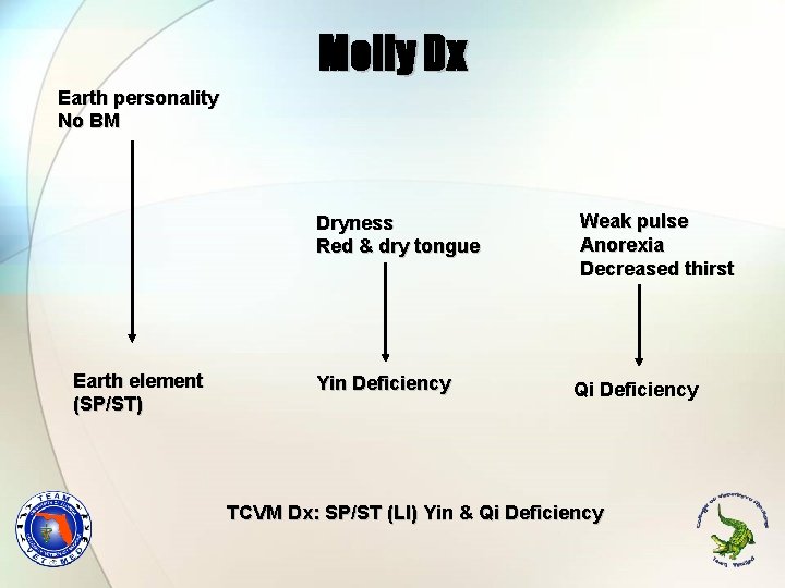 Molly Dx Earth personality No BM Dryness Red & dry tongue Earth element (SP/ST)