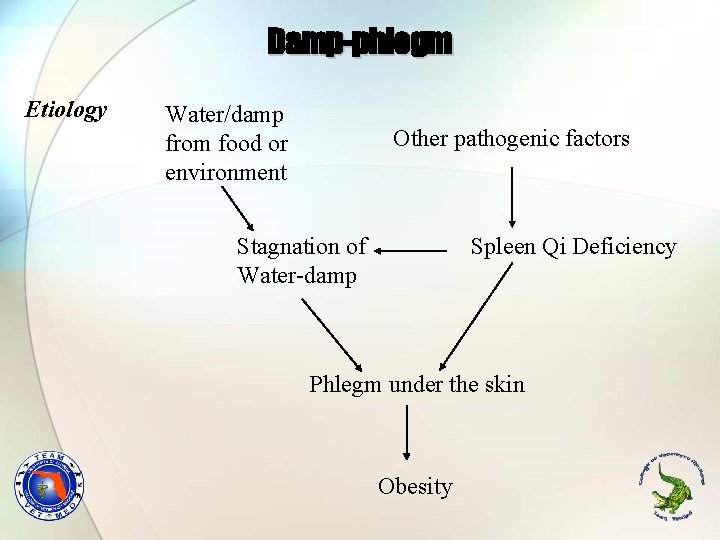 Damp-phlegm Etiology Water/damp from food or environment Other pathogenic factors Stagnation of Water-damp Spleen
