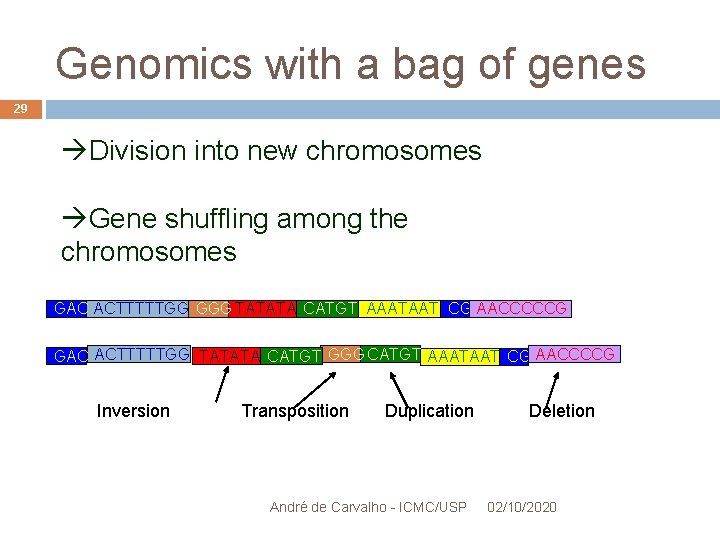 Genomics with a bag of genes 29 Division into new chromosomes Gene shuffling among