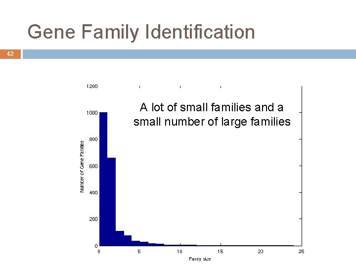 Gene Family Identification 42 A lot of small families and a small number of