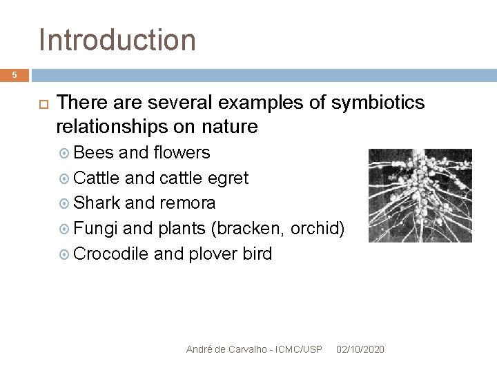 Introduction 5 There are several examples of symbiotics relationships on nature Bees and flowers