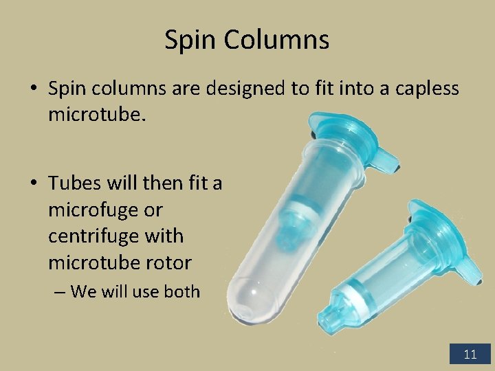 Spin Columns • Spin columns are designed to fit into a capless microtube. •