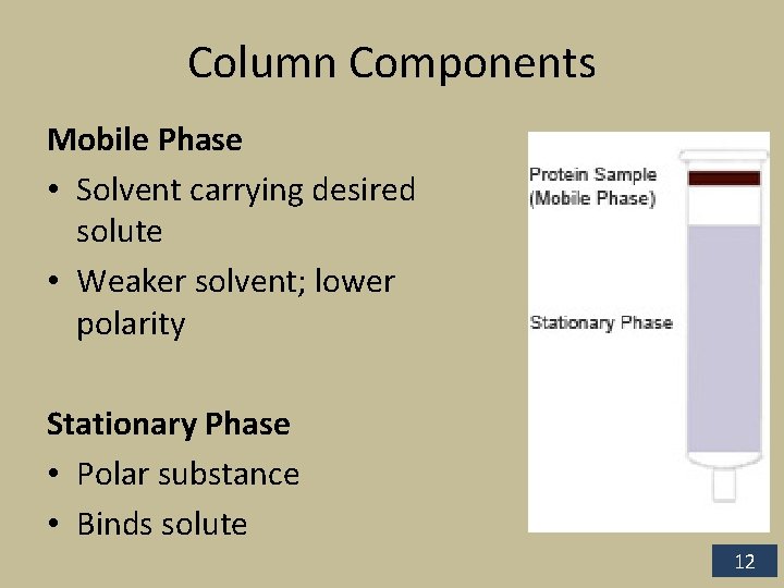 Column Components Mobile Phase • Solvent carrying desired solute • Weaker solvent; lower polarity