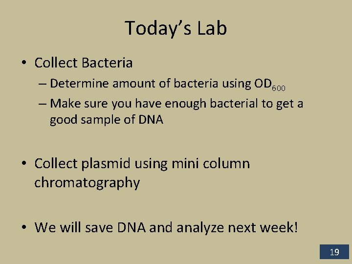 Today’s Lab • Collect Bacteria – Determine amount of bacteria using OD 600 –