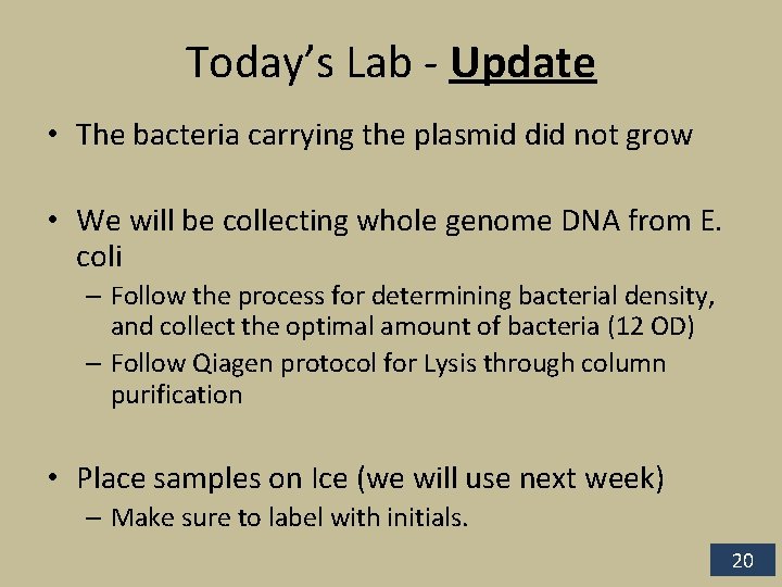 Today’s Lab - Update • The bacteria carrying the plasmid did not grow •