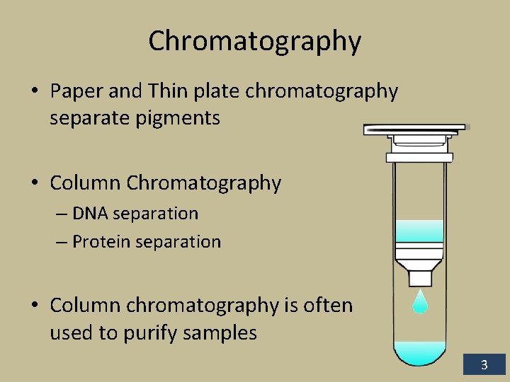 Chromatography • Paper and Thin plate chromatography separate pigments • Column Chromatography – DNA