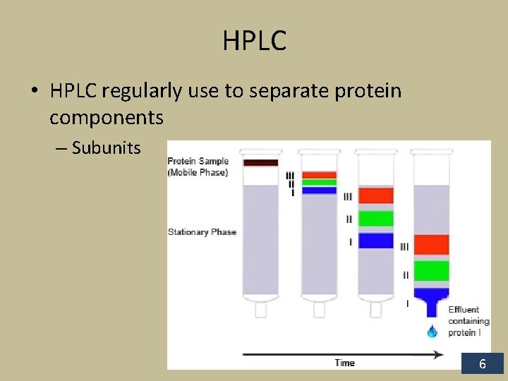 HPLC • HPLC regularly use to separate protein components – Subunits 6 
