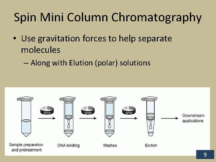 Spin Mini Column Chromatography • Use gravitation forces to help separate molecules – Along