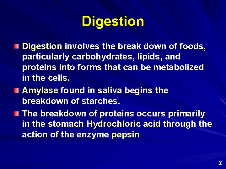 Digestion involves the break down of foods, particularly carbohydrates, lipids, and proteins into forms