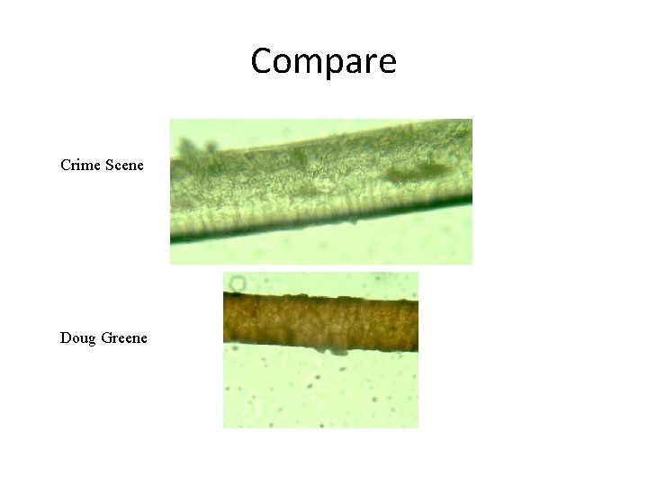 Compare Crime Scene Doug Greene 
