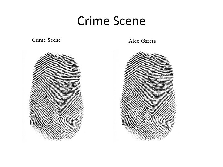 Crime Scene Alex Garcia 