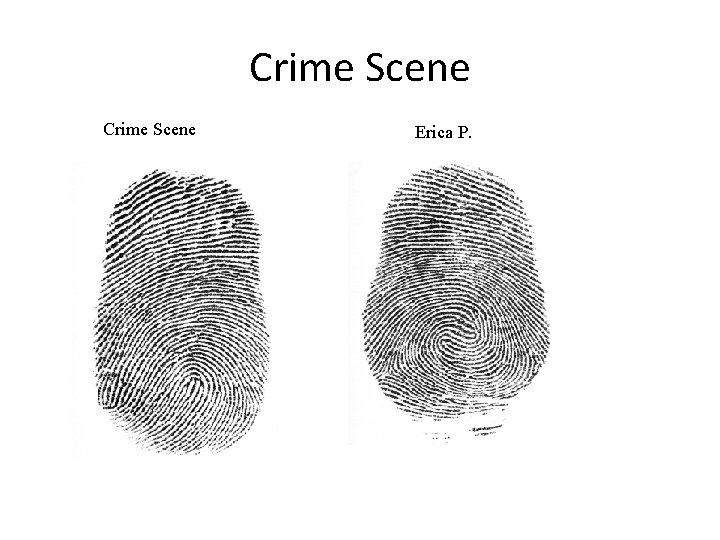 Crime Scene Erica P. 