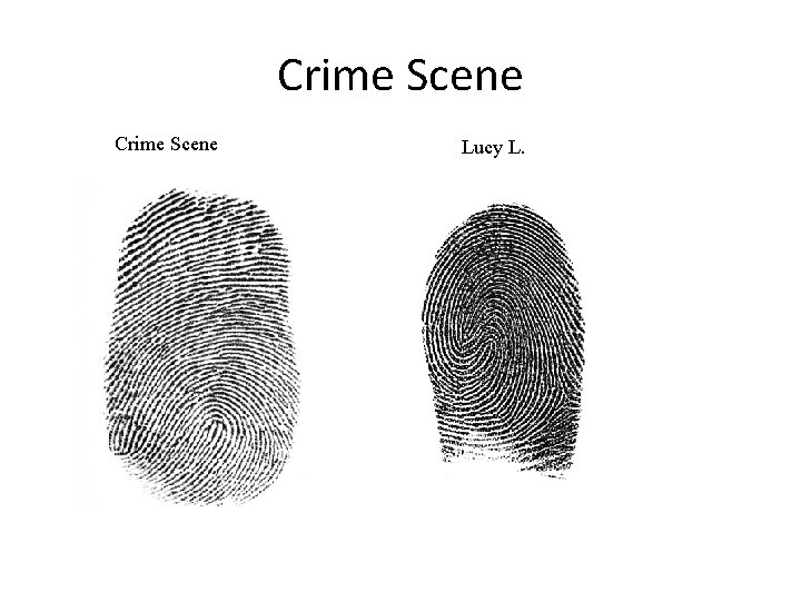 Crime Scene Lucy L. 