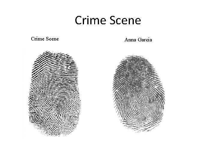 Crime Scene Anna Garcia 
