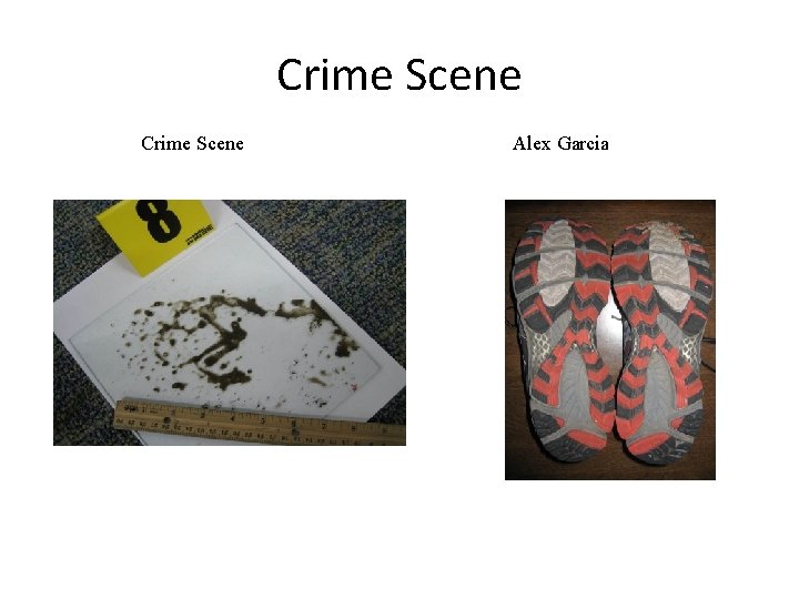 Crime Scene Alex Garcia 