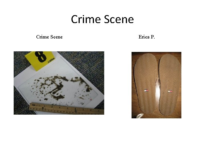 Crime Scene Erica P. 